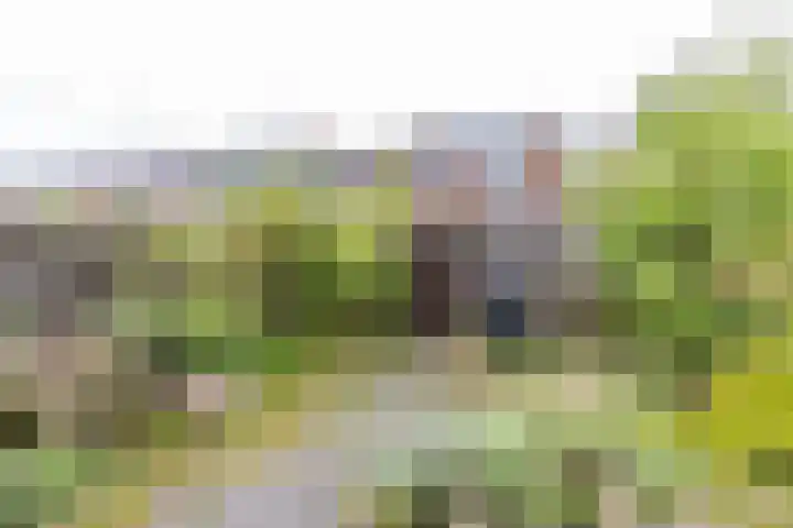 Goudlaan 13 Groningen thumbnail 12