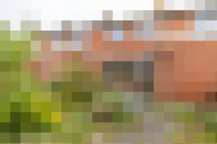 Goudlaan 13 Groningen thumbnail 13