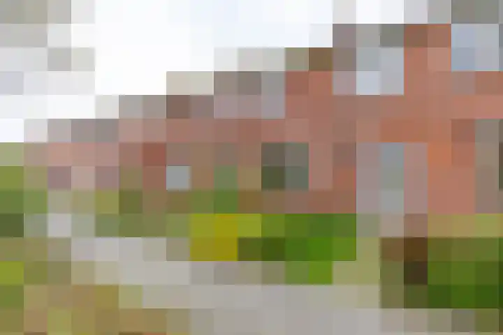 Goudlaan 13 Groningen thumbnail 14