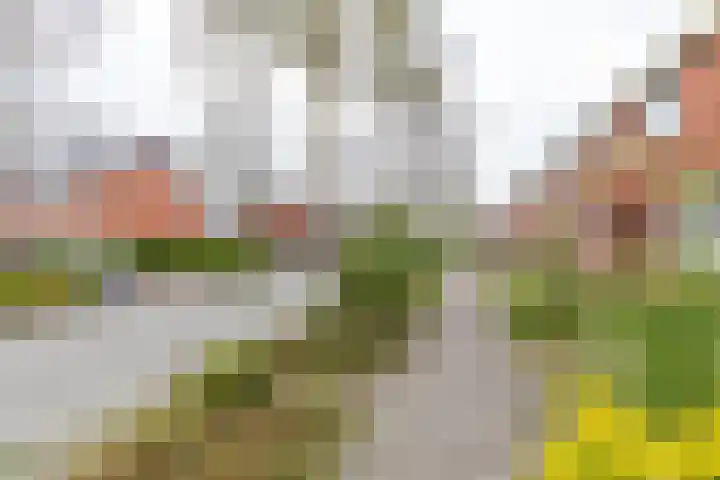 Goudlaan 13 Groningen thumbnail 15