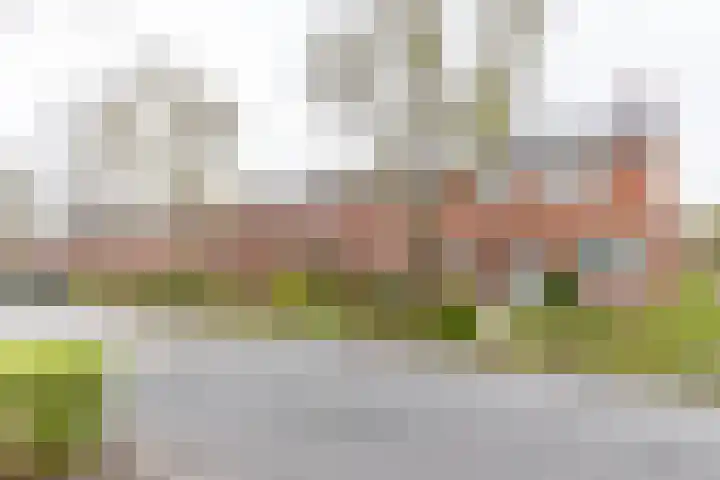 Goudlaan 13 Groningen thumbnail 16