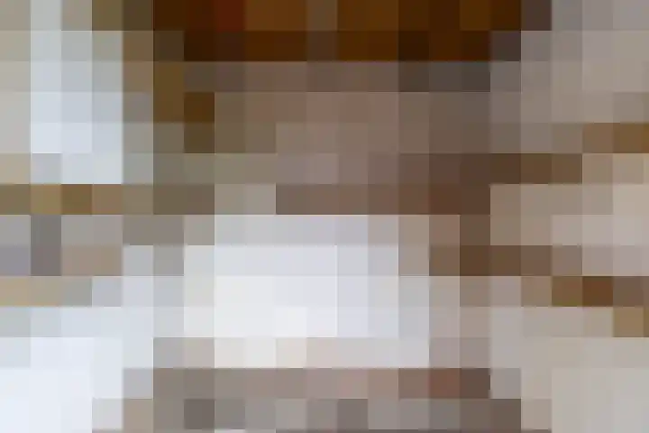 Goudlaan 13 Groningen thumbnail 18