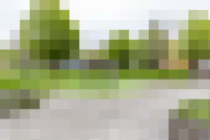 Goudlaan 13 Groningen thumbnail 29
