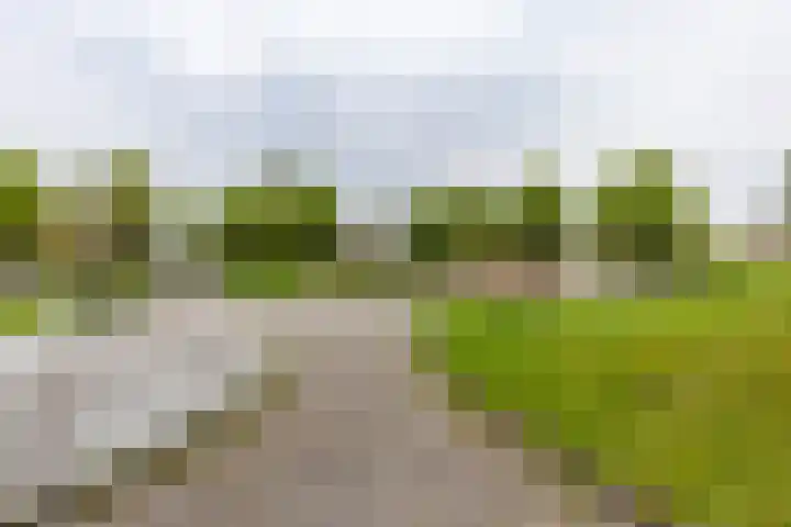 Goudlaan 13 Groningen thumbnail 30
