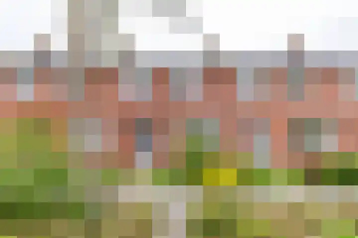 Goudlaan 13 Groningen thumbnail 31