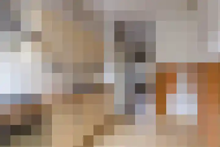 Goudlaan 13 Groningen thumbnail 8