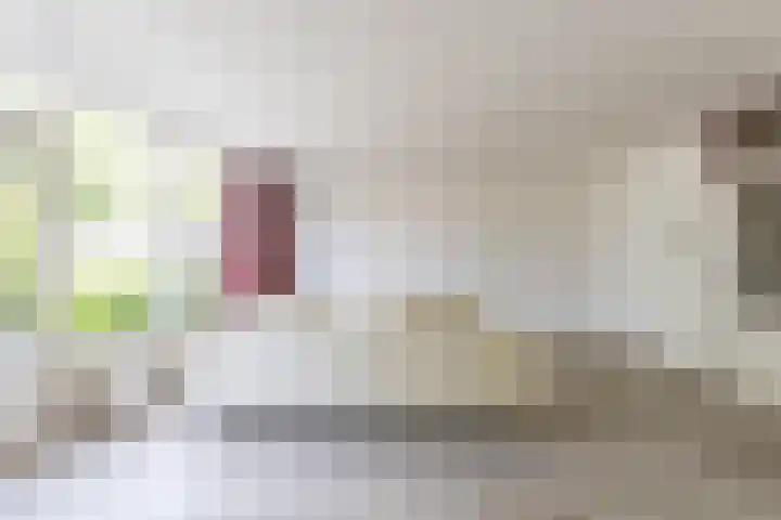 Goudlaan 289 h Groningen thumbnail 19