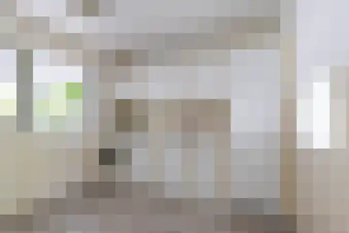 Goudlaan 289 h Groningen thumbnail 21