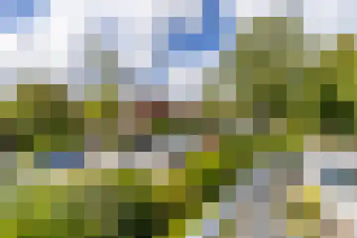 Goudlaan 289 h Groningen thumbnail 37