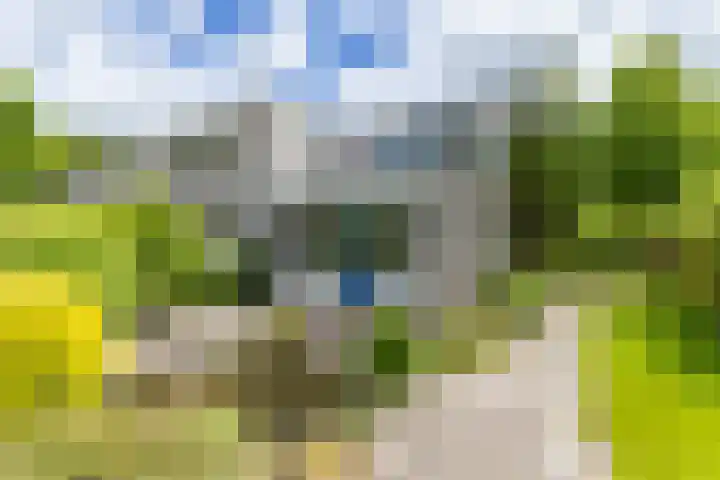 Goudlaan 289 h Groningen thumbnail 38