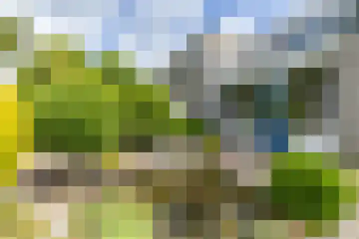 Goudlaan 289 h Groningen thumbnail 4