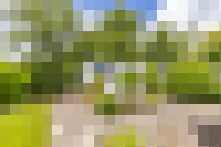 Goudlaan 289 h Groningen thumbnail 40