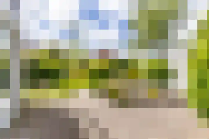 Goudlaan 289 h Groningen thumbnail 41