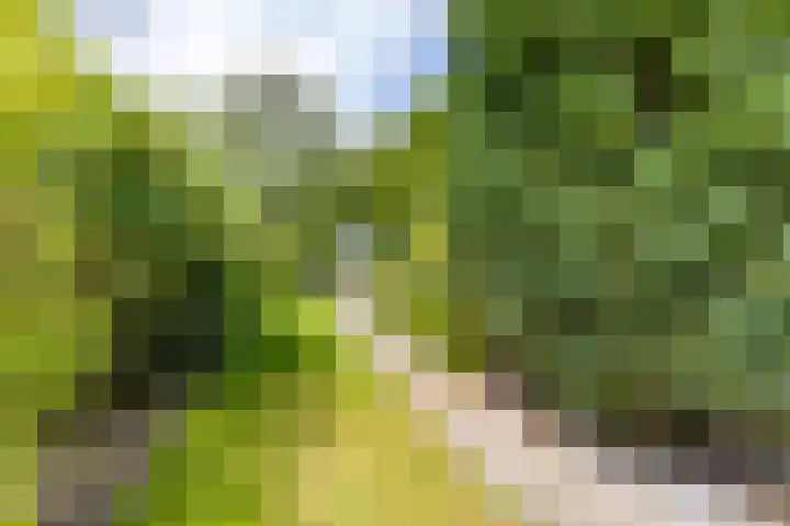 Goudlaan 289 h Groningen thumbnail 42