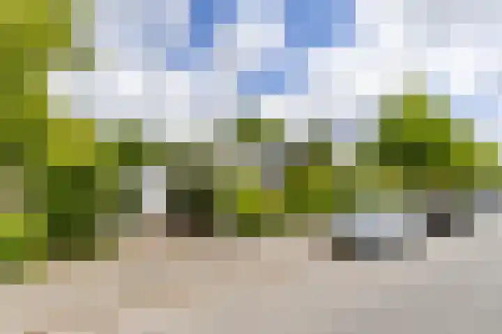 Goudlaan 289 h Groningen thumbnail 44