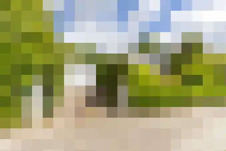 Goudlaan 289 h Groningen thumbnail 45