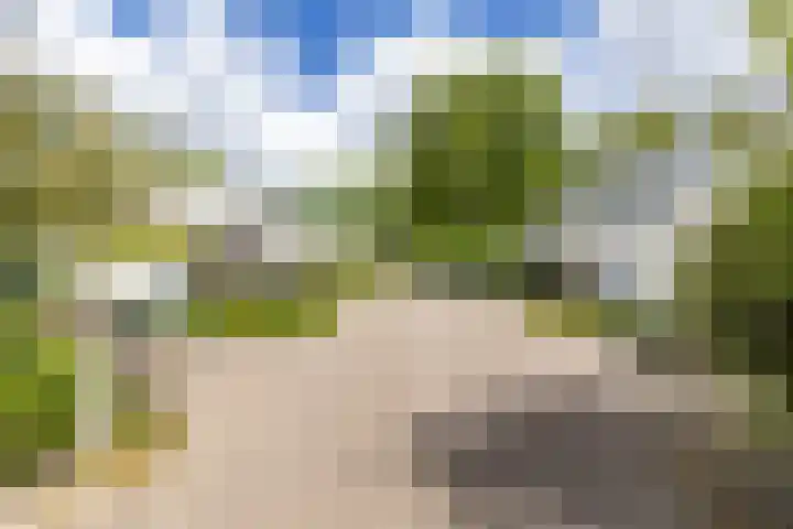 Goudlaan 289 h Groningen thumbnail 6