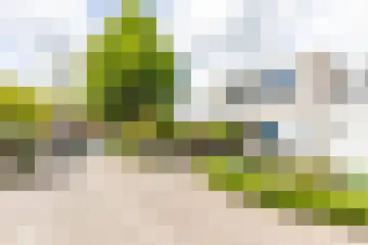 Goudlaan 289 h Groningen thumbnail 7