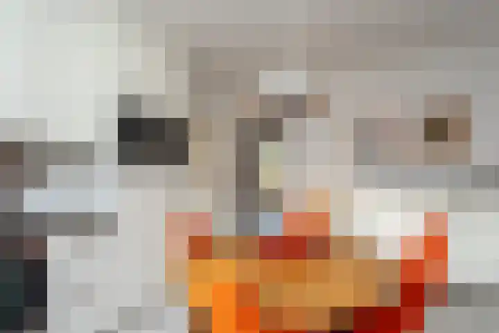 Goudlaan 3 Veendam thumbnail 16