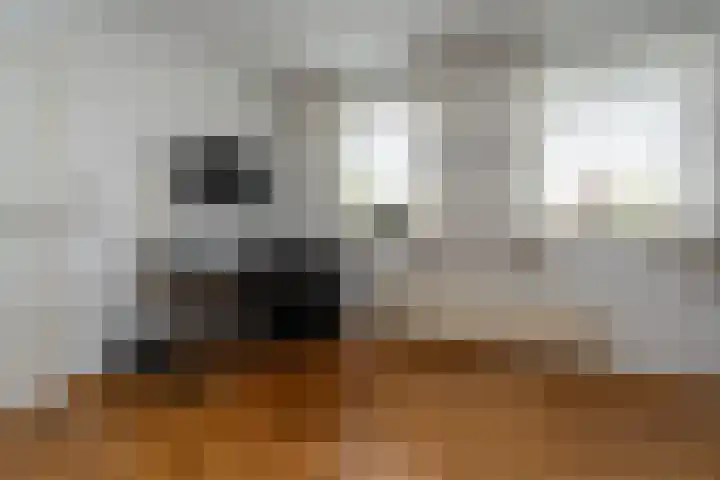 Goudlaan 3 Veendam thumbnail 26