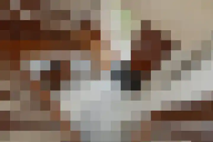 Goudlaan 3 Veendam thumbnail 32
