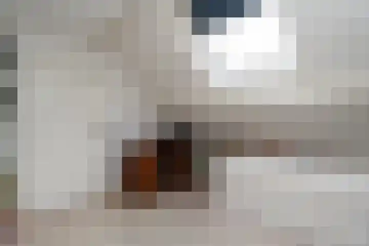 Goudlaan 3 Veendam thumbnail 39