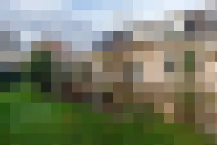Goudlaan 3 Veendam thumbnail 44