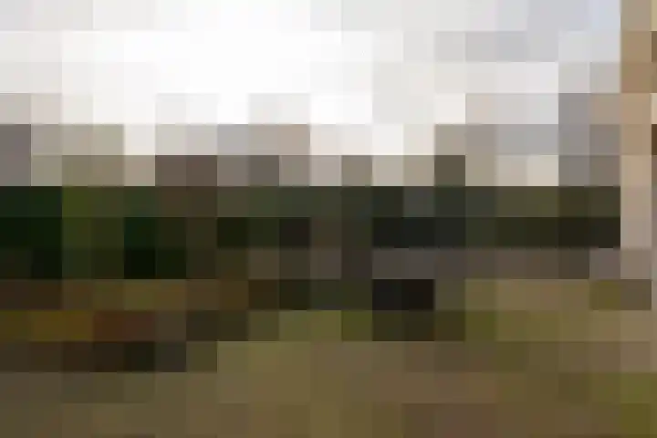 Goudlaan 3 Veendam thumbnail 49