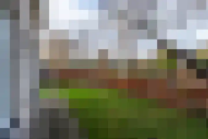 Goudlaan 3 Veendam thumbnail 50