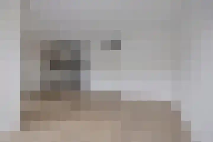 Goudmijnhof 116 Oss thumbnail 13