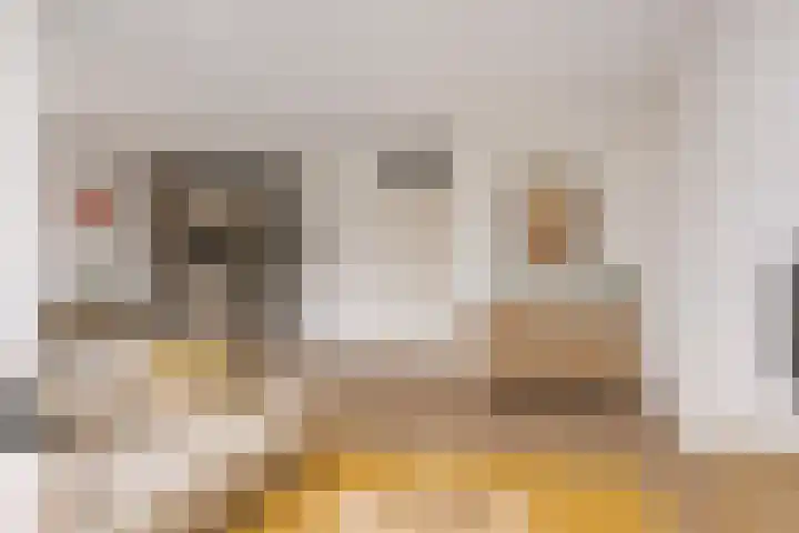 Goudmijnhof 116 Oss thumbnail 14