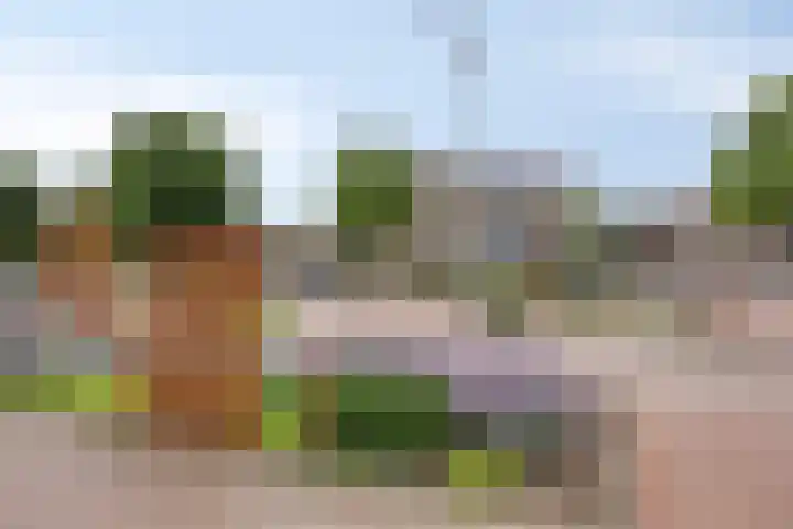 Goudmijnhof 116 Oss thumbnail 27