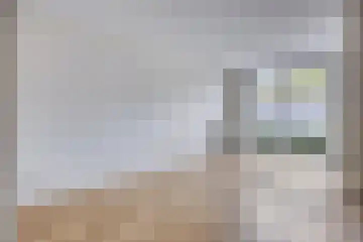 Goudmijnhof 116 Oss thumbnail 8