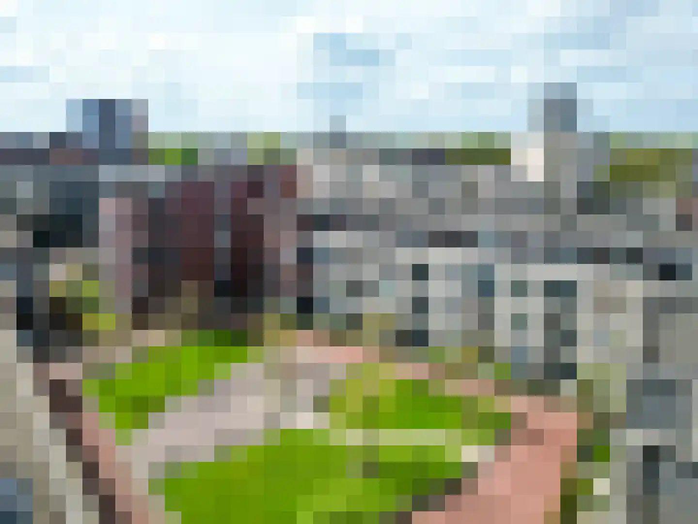 Goudmijnhof 118 Oss