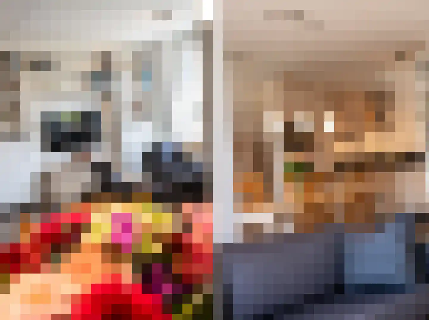 Goudmijnhof 118 Oss thumbnail 10