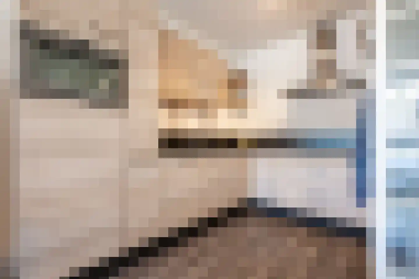 Goudmijnhof 118 Oss thumbnail 11