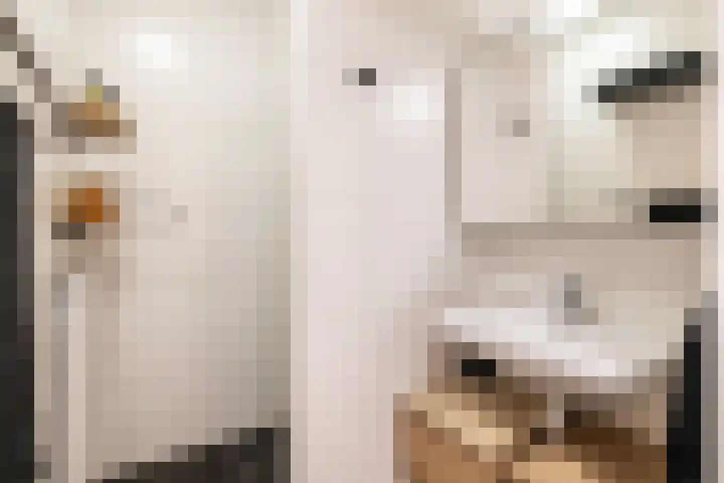 Goudmijnhof 118 Oss thumbnail 14