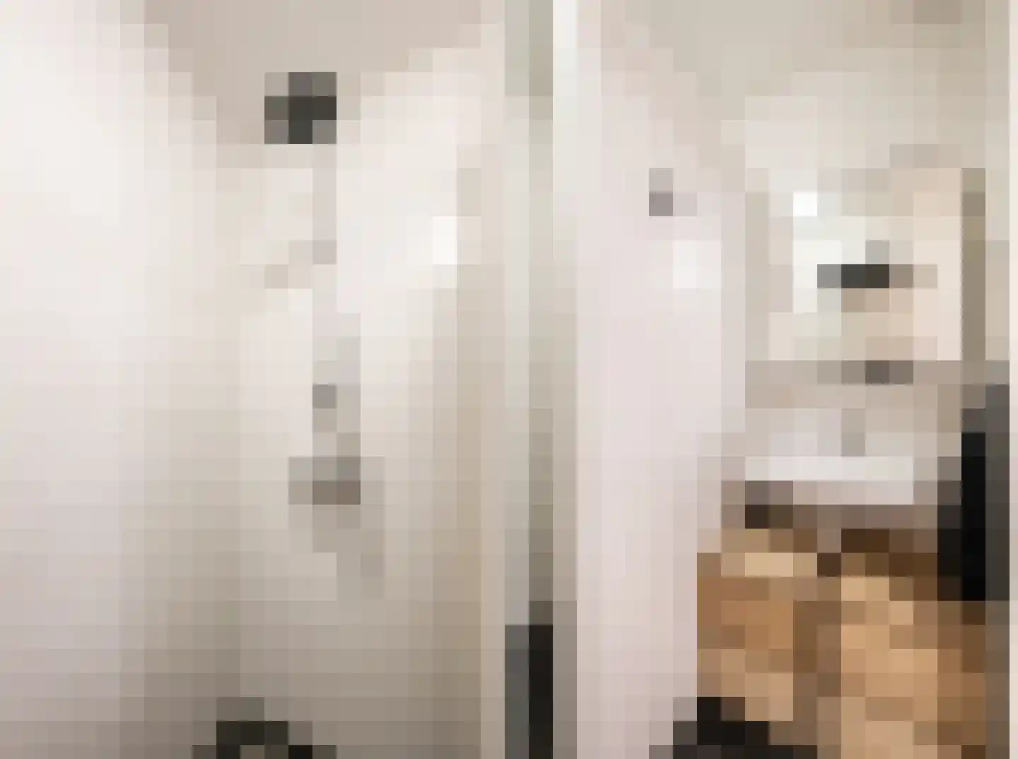 Goudmijnhof 118 Oss thumbnail 15