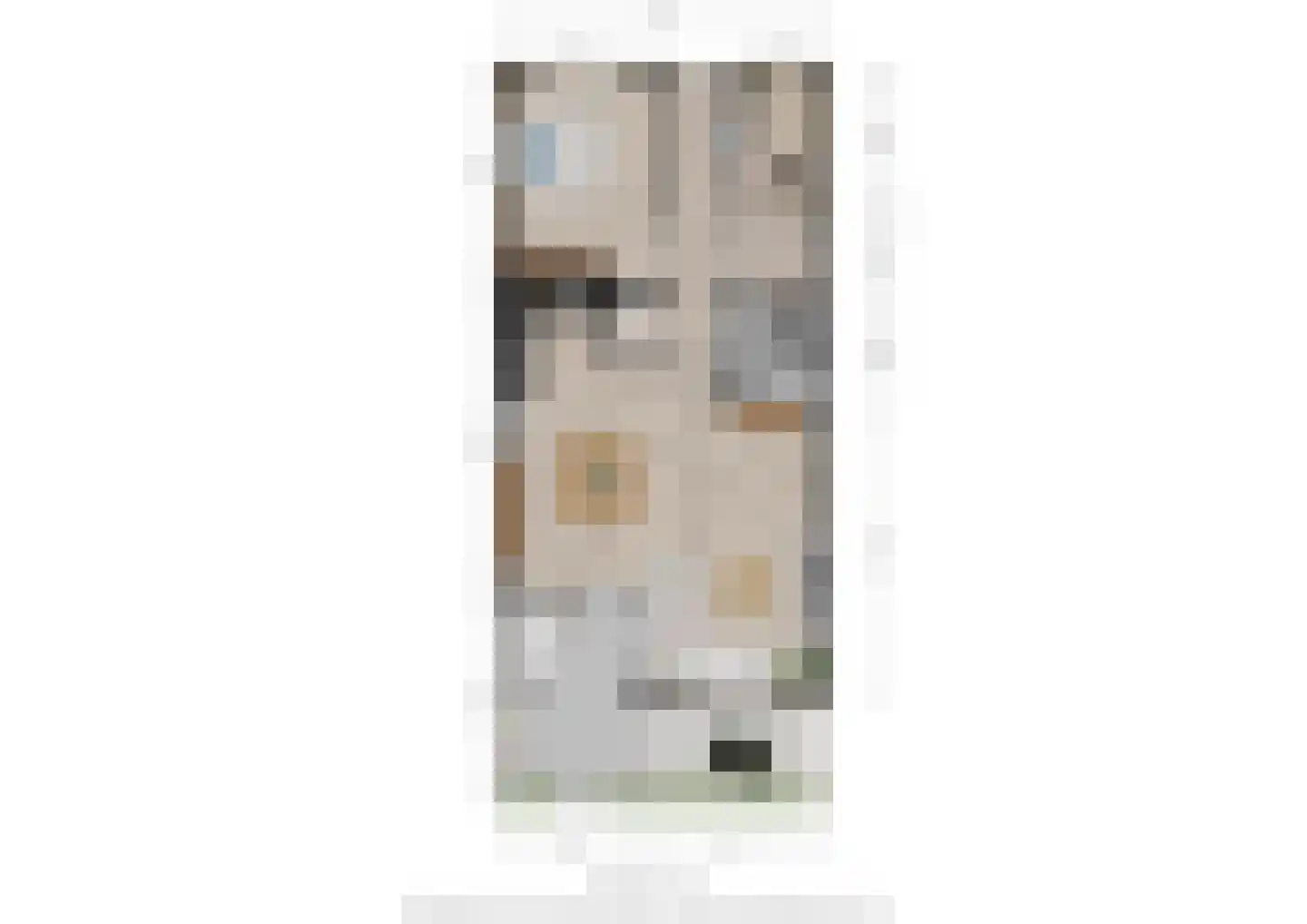 Goudmijnhof 118 Oss thumbnail 21
