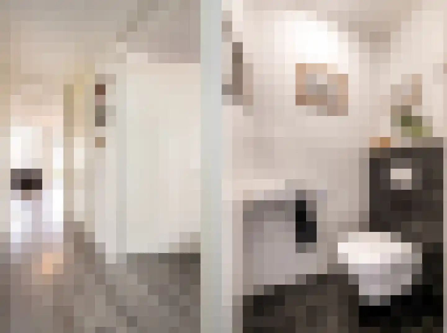 Goudmijnhof 118 Oss thumbnail 6