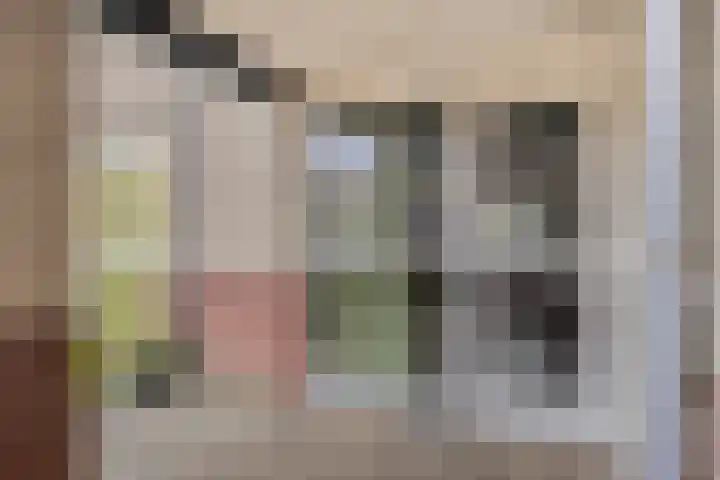 Goudmijnhof 126 Oss thumbnail 16