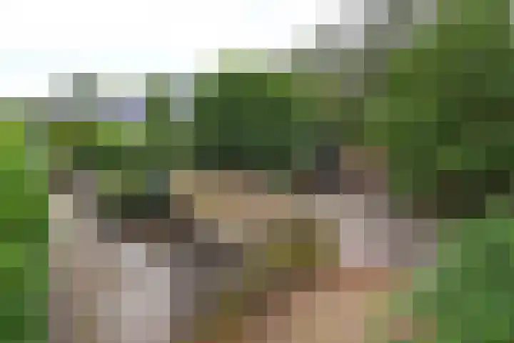 Goudmijnhof 126 Oss thumbnail 19