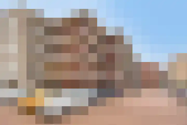 Goudmijnhof 126 Oss thumbnail 20