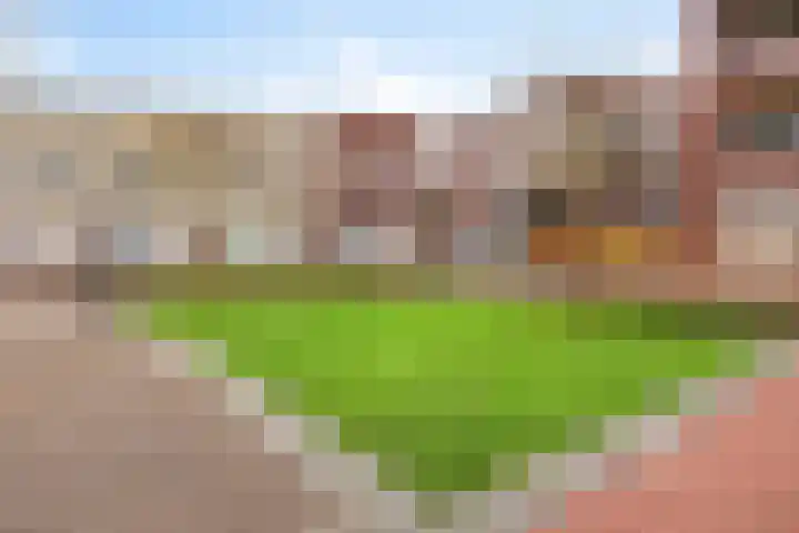 Goudmijnhof 126 Oss thumbnail 23