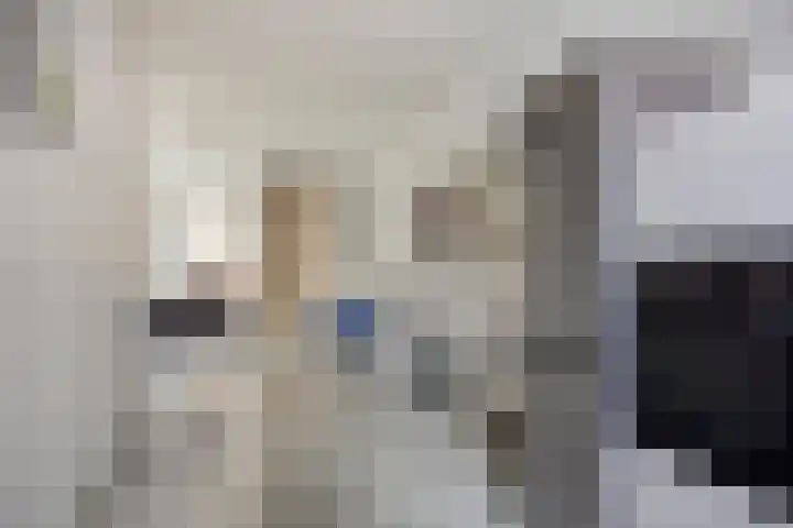Goudmijnhof 126 Oss thumbnail 7