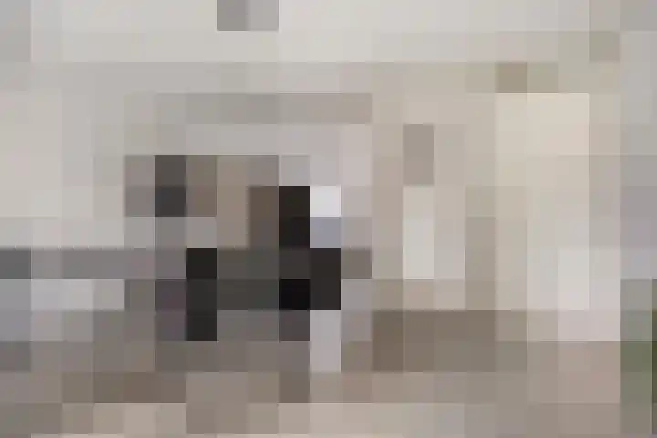 Goudmijnhof 126 Oss thumbnail 8