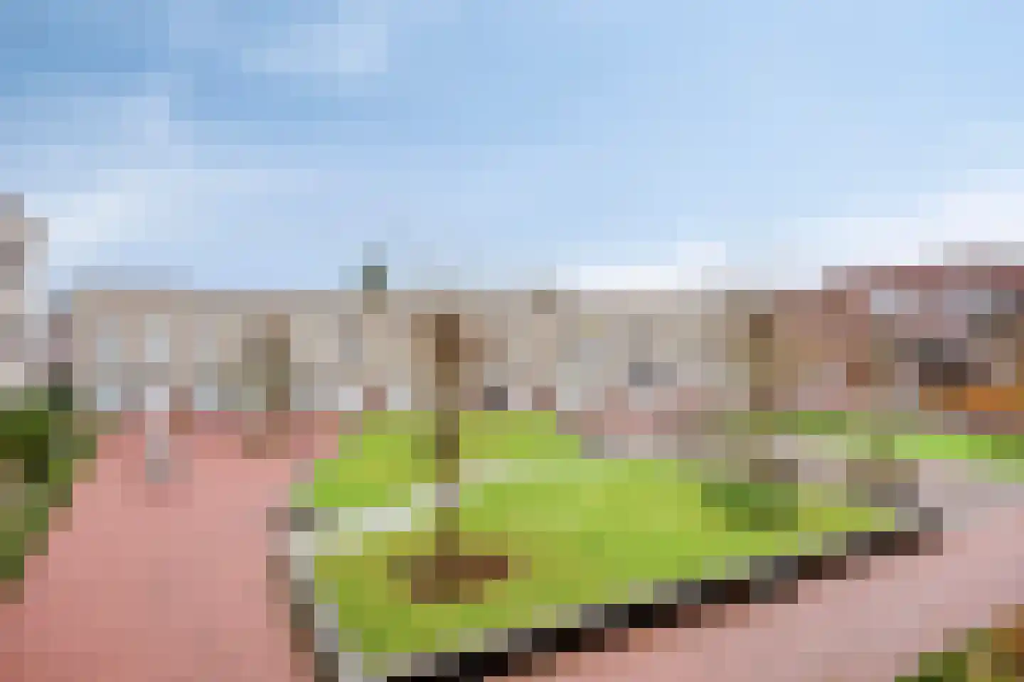 Goudmijnhof 130 Oss thumbnail 12
