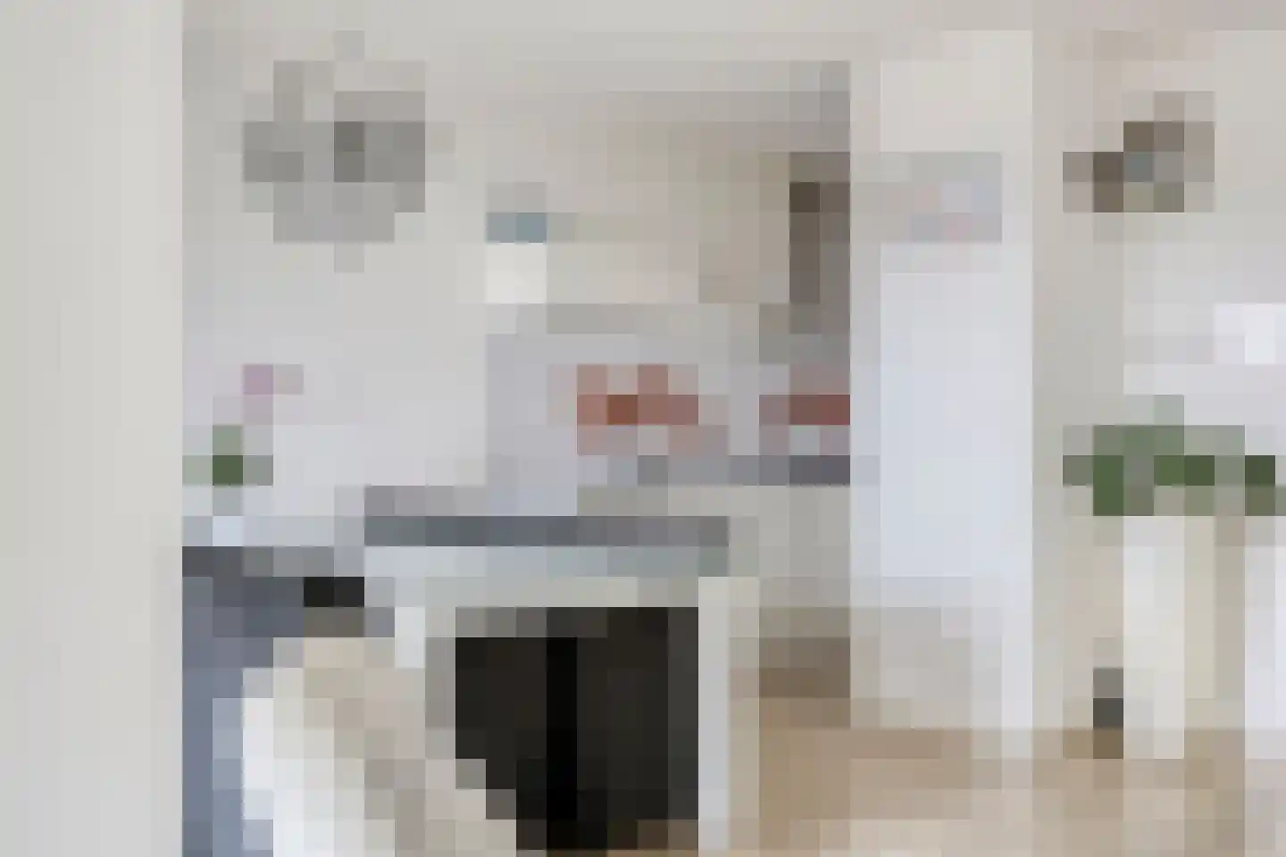 Goudmijnhof 130 Oss thumbnail 7