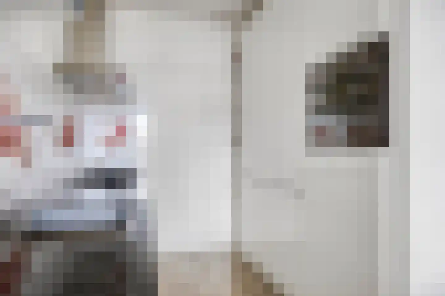 Goudmijnhof 130 Oss thumbnail 9