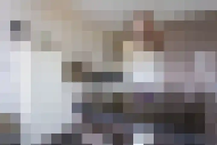 Goudmijnhof 138 Oss thumbnail 11